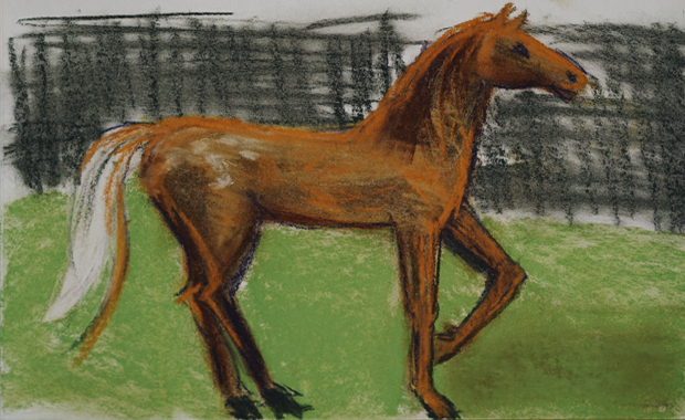 Areta Press Curriculum Art | Horse