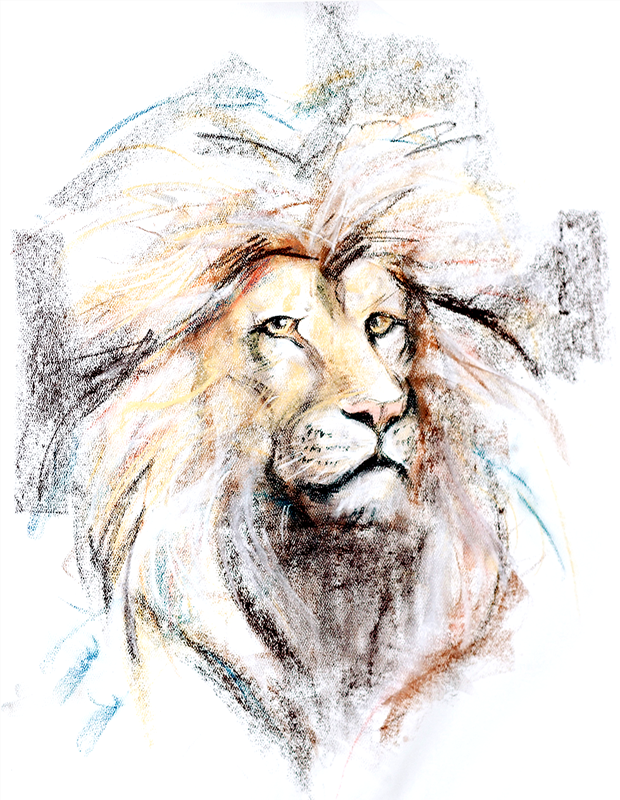 Areta Press Curriculum Art |  Lion